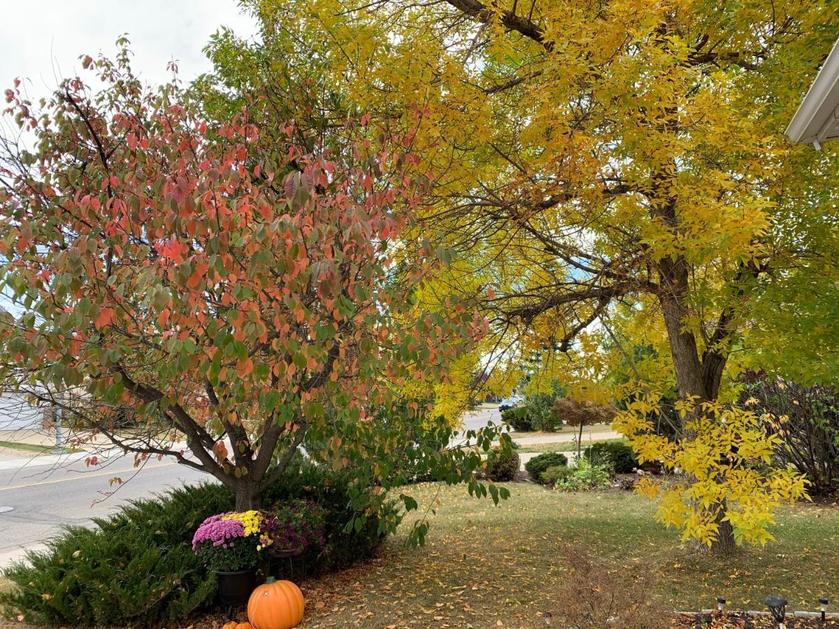 Brother Li Homestay Calgary